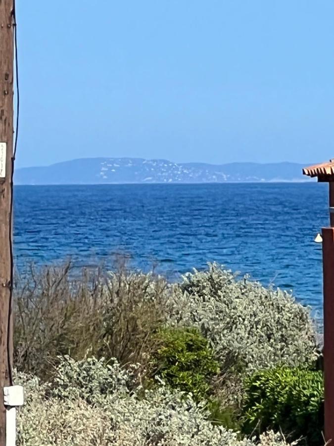 הייר Plein Sud, Bel Appartement 20 Metres De La Plage La Capte מראה חיצוני תמונה